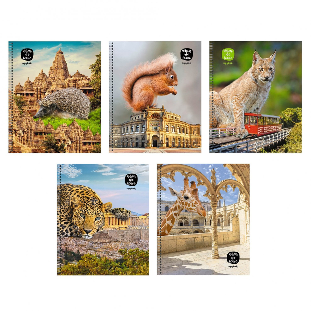 Тетрадь 48л., А5, клетка, Канц-Эксмо "В городе!", гребень, мелованный картон, твин.лак, 5 дизайнов