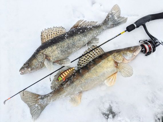 Воблер тонущий вертикальный LJ Pro Series  BASARA VIB S 90.00/146