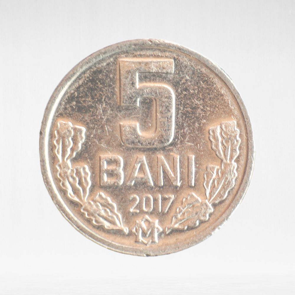 Moldova, 5 Bani, 2017, VF