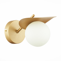 Светильник настенный Evoluce Bolzano SLE220501-01