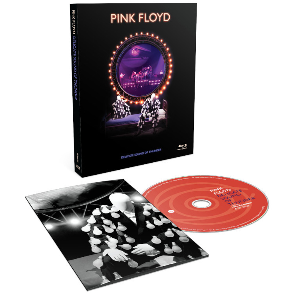 Pink Floyd / Delicate Sound Of Thunder (Blu-ray)