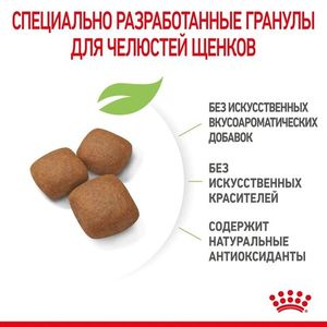 Корм для щенков очень крупных размеров с 8 месяцев, Royal Canin Giant Junior