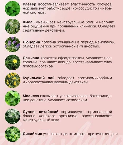 Взвар "Фитоэстрин"