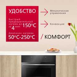 Духовой шкаф Hansa BOES68004