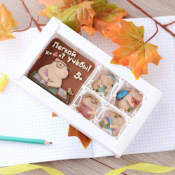 Набор шоколадный "Легкой учебы" #1 / Подарок на 1 сентября