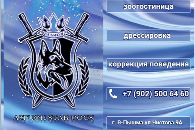 Лучший уход для ваших питомцев в Легион Star Dogs!
