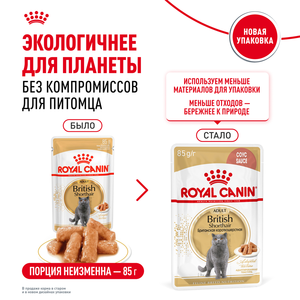 Royal Canin British Shorthair Adult (БРИТАНСКАЯ КОРОТКОШЕРСТНАЯ ЭДАЛТ) Корм консервированный для взрослых кошек соус 85г