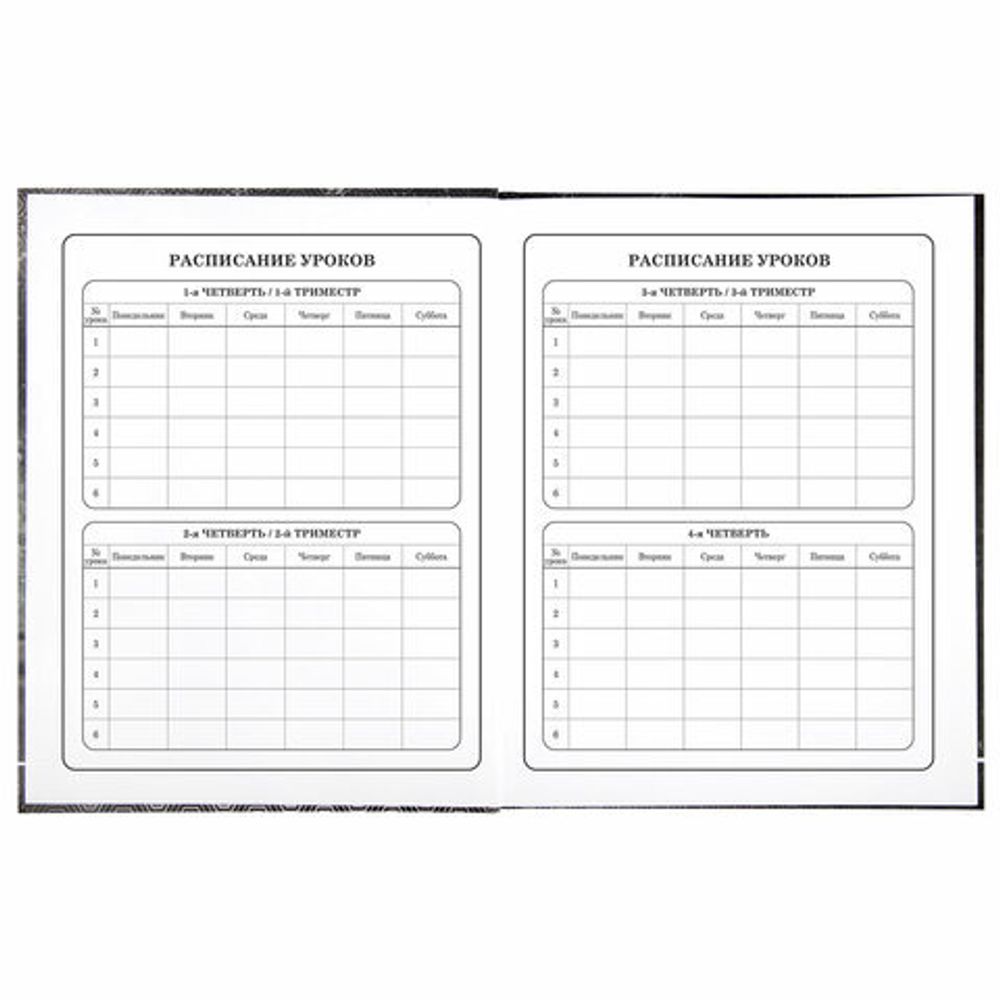 Дневник 1-4 класс 48 л., твердый, BRAUBERG, выборочный лак, с подсказом, "Крутой байк", 106362