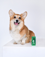 FITODOC Карнитин для улучшения обмена веществ у животных, 50 мл