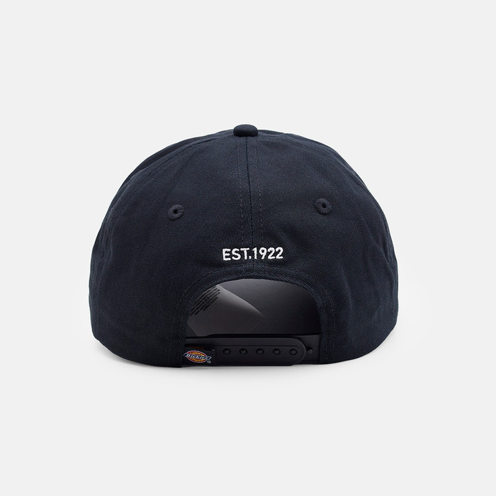 Кепка Dickies Hardwick 6 Panel Logo Cap  артикул:DK0A4TKVBLK1 - купить в магазине Дайс