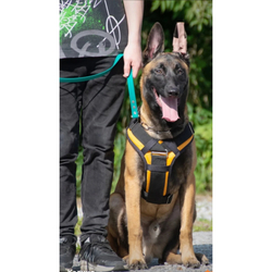 Шлейка спортивно - профессиональная DaiviBel  (комфорт) с металлической фурнитурой