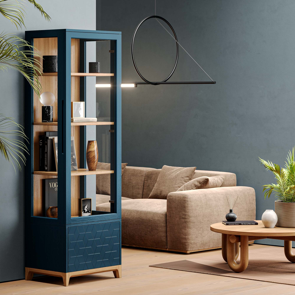 Узкая витрина Case CS161