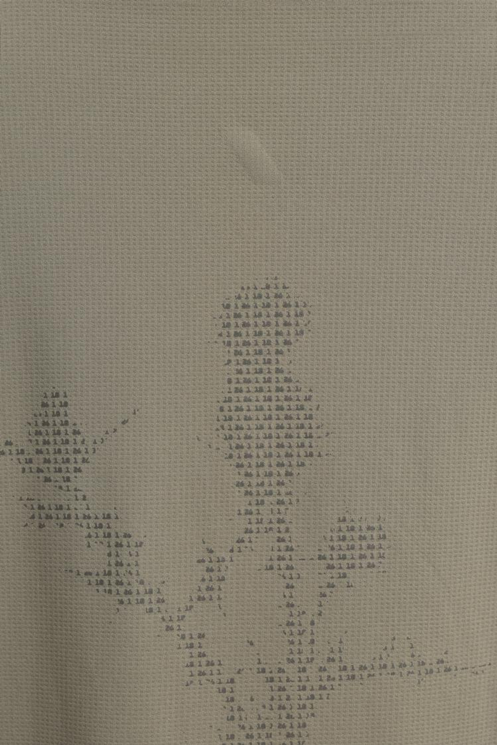 ZARA ФУТБОЛКА С ДЛИННЫМ РУКАВОМ И ГРАФИЧЕСКИМ ПРИНТОМ, СВЕТЛО-СЕРЫЙ