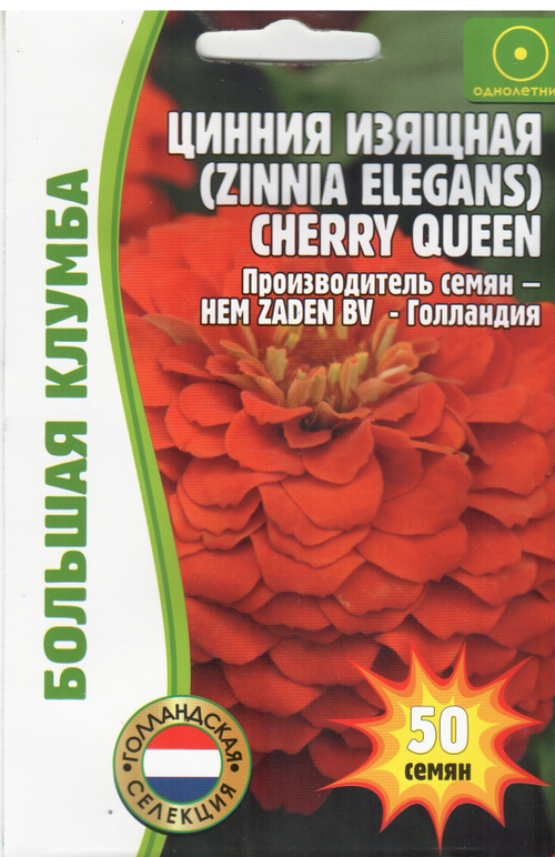 Цинния изящная Cherry Quenn
