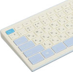 Клавиатура Acer OCC205 ZL.ACCEE.00C голубой