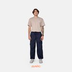  Брюки мужские Dickies Fishersville Pant артикул:DK0A4YSDDNX1 - купить в магазине Дайс