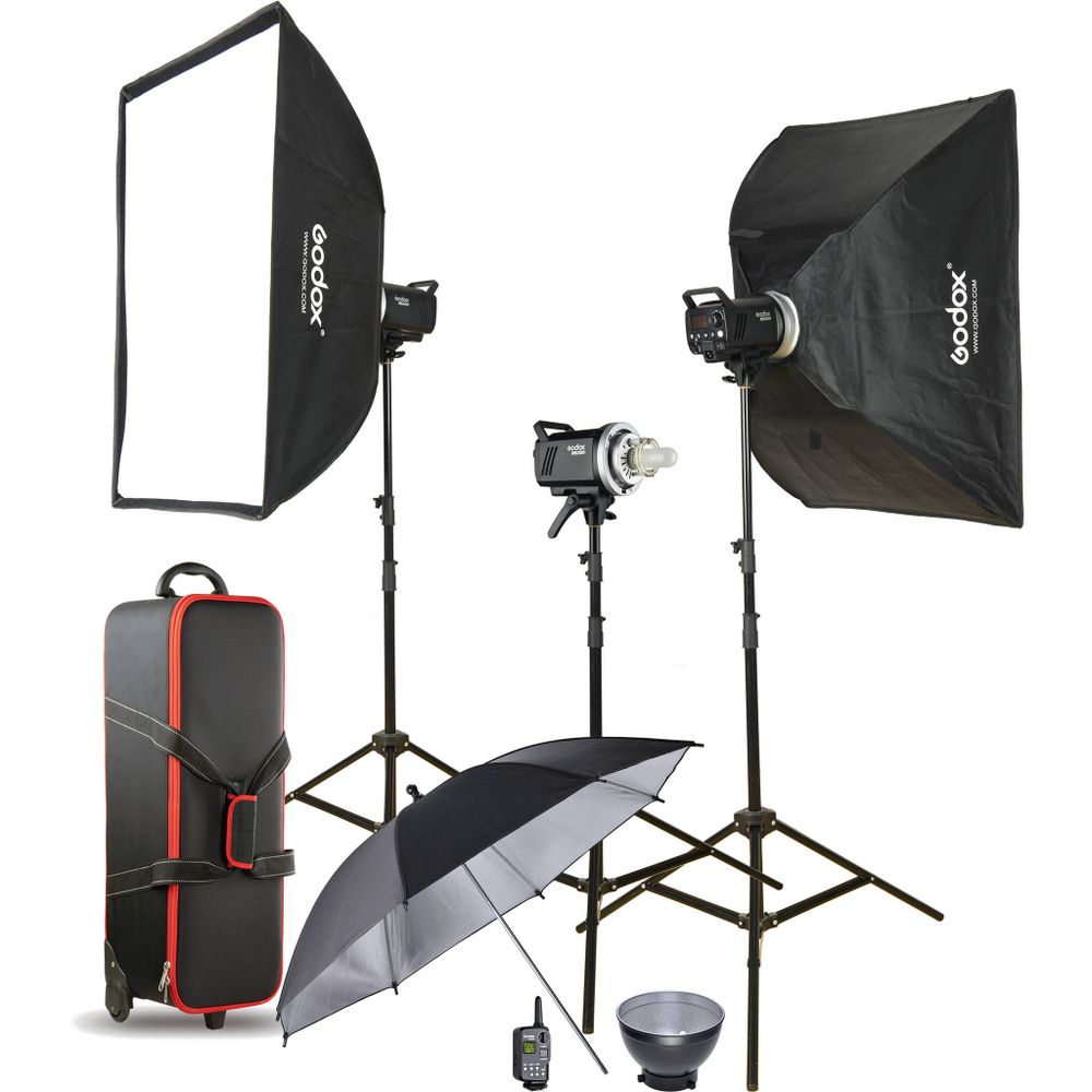Godox MS300-D