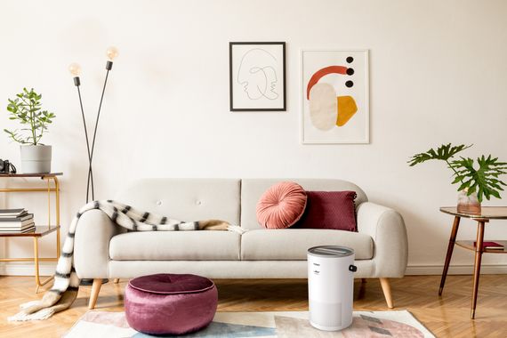 Бытовой очиститель воздуха FUNAI YAKATA HAP-Y230S01E — (10)