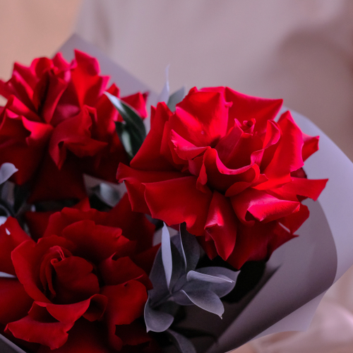 Купить Яркий букет французских роз #125