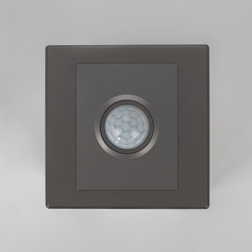 Citilux Скалли CLR005KS1 Встраиваемое реле с датчиком движения Графит