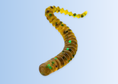 King Leech