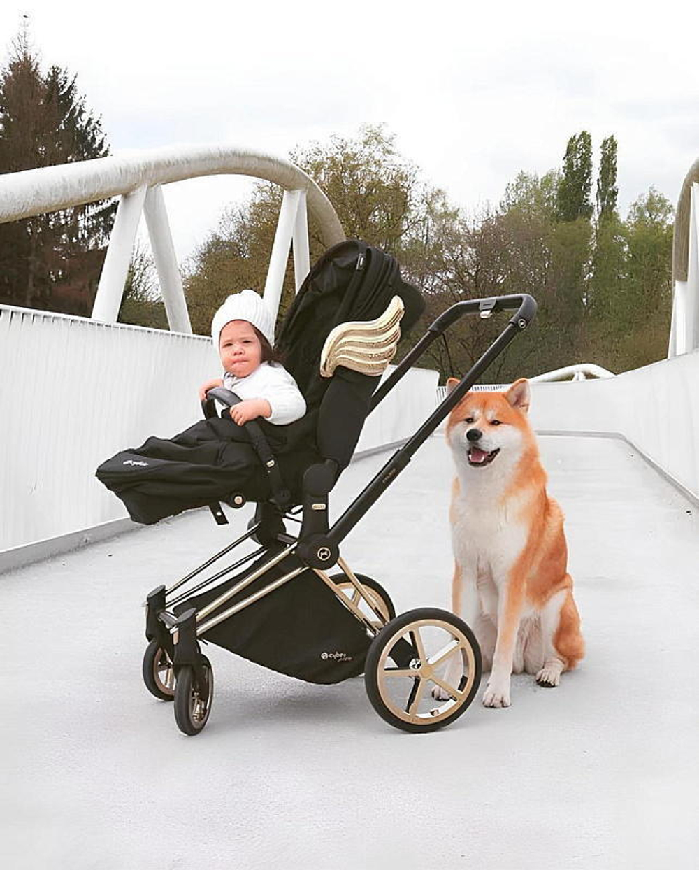 Коляска 3 в 1 Cybex Priam IV и автокресло Cloud T i-Size Jeremy Scott Wings