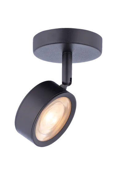 20115 SBK (1/20) Светильник (RL)