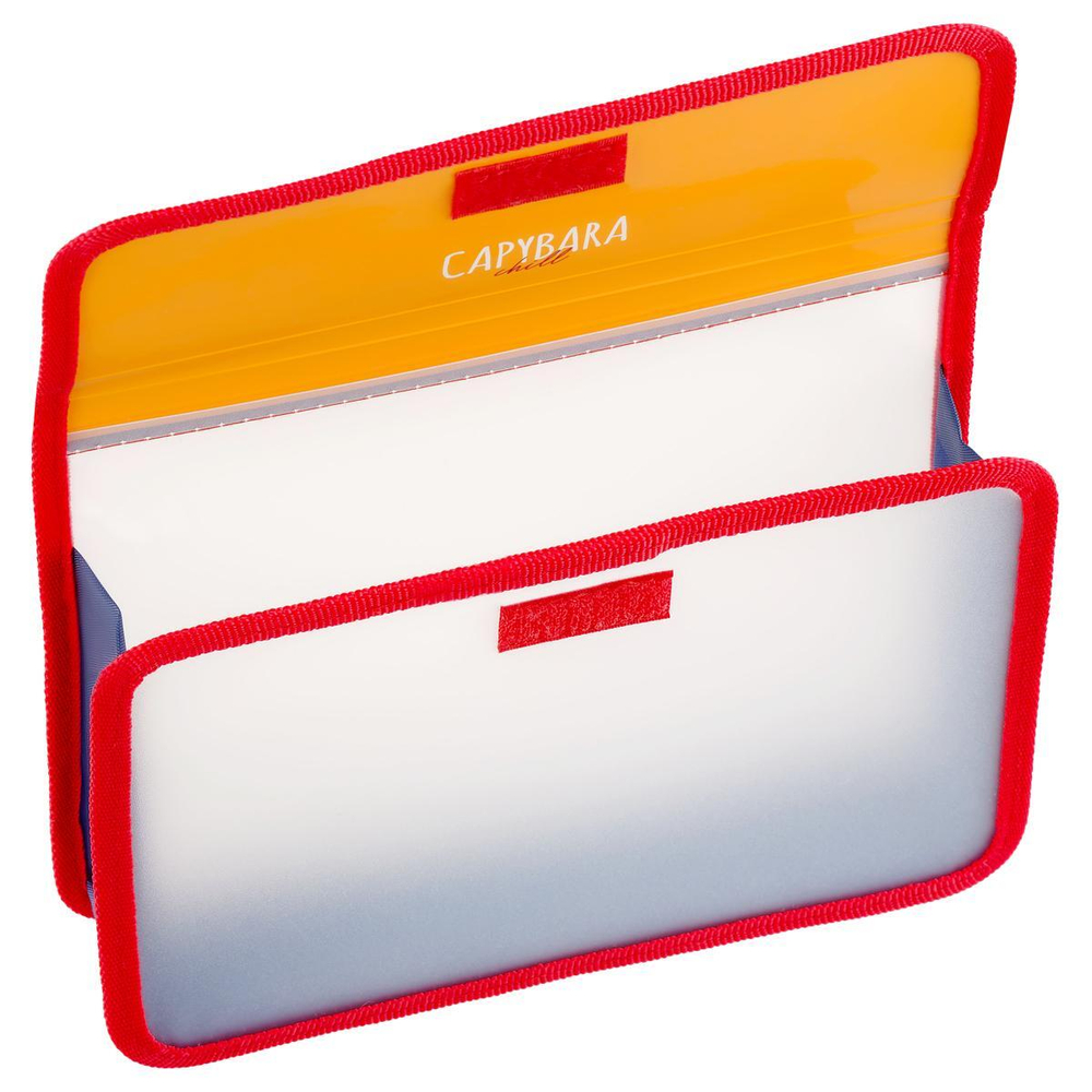 Папка для тетрадей А5 1 отделение на липучке "Capybara" (Спейс)