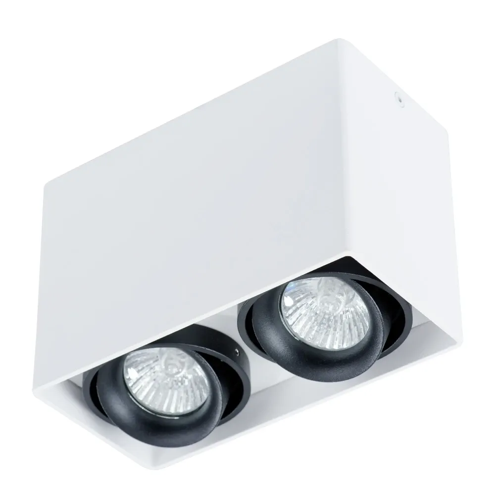 Точечный накладной светильник Arte Lamp PICTOR