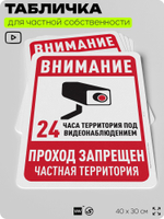 Табличка для частной территории "Внимание, проход запрещен", на дом, для участка, организаций и частных территорий, предупреждающая, 40х30 см, Silver Plane x Айдентика Технолоджи