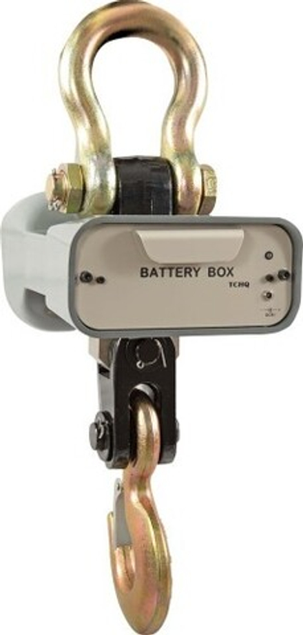 Весы крановые Cas CASTON I 2 THA (до 2 т) 77-00033548