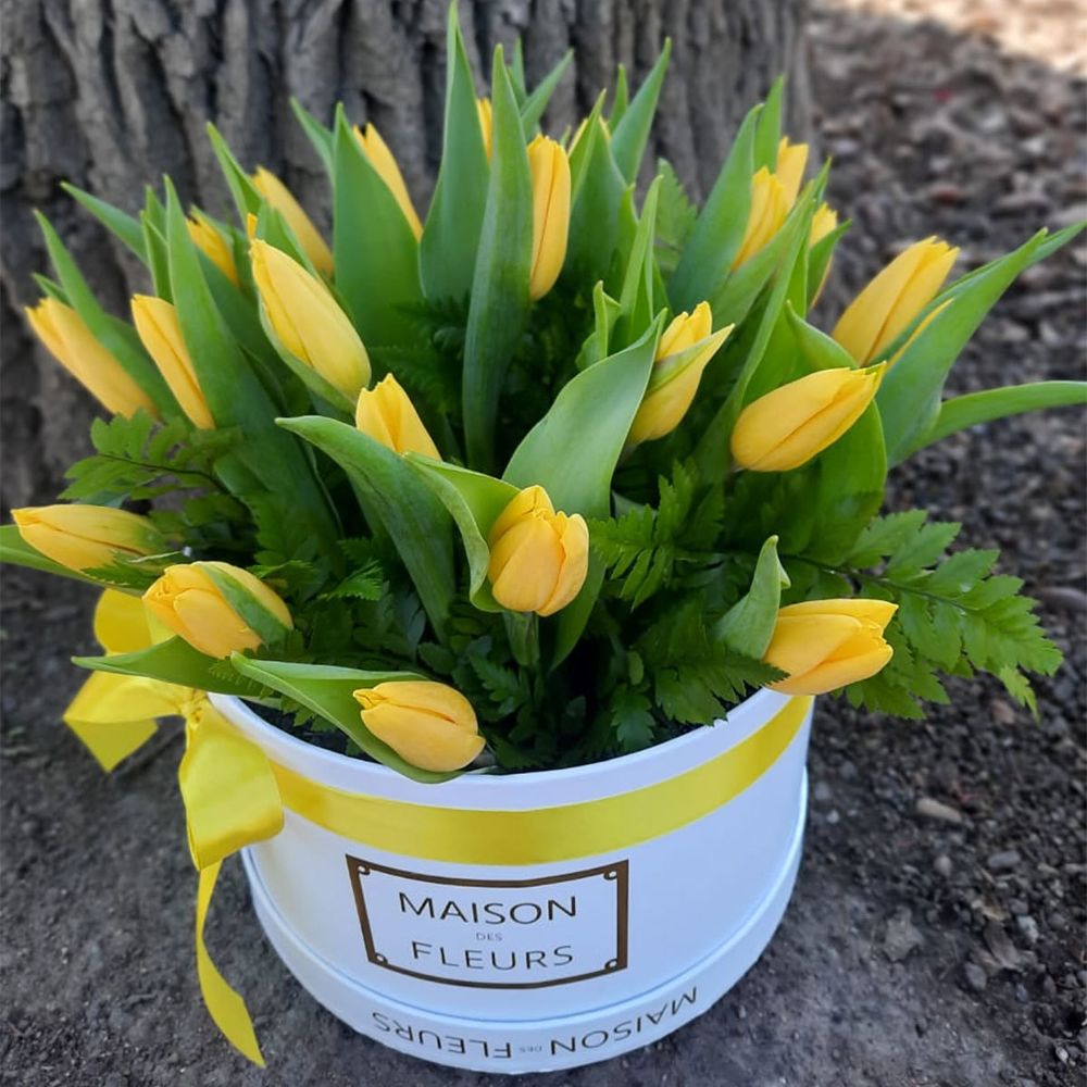 Желтые тюльпаны в коробке