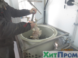 Линия убоя бройлера и несушки до 120 голов/час с вакуумным потрошением. Краснодарский край