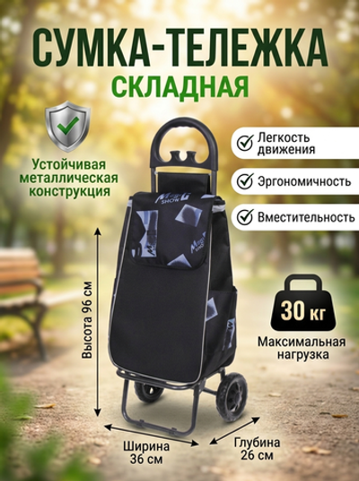 Тележка хозяйственная с сумкой (96*26*36см, колеса 15.5см,груз. до 30 кг.) magic DC307GG