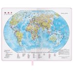 Ежедневник датированный 2023 А5 138x213 мм BRAUBERG "Profile", балакрон, светло-розовый, 114047