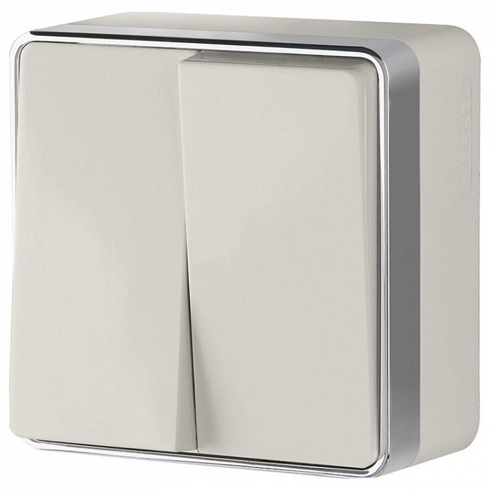 Выключатель двухклавишный Werkel W5020003