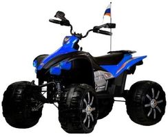 Электроквадроцикл RIVERTOYS P444PP