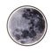Настенно-потолочный светодиодный светильник Escada Planet 10226/SG LED Moon
