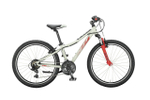 Подростковый велосипед KTM Wild Cross 24 (2020)