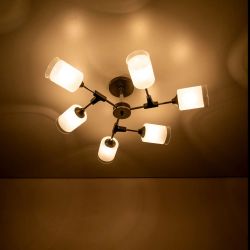 Citilux Эрик CL136165 Люстра потолочная Чёрная