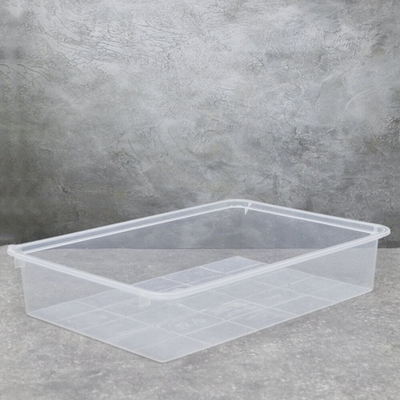 Лоток 4,9л прозрачный