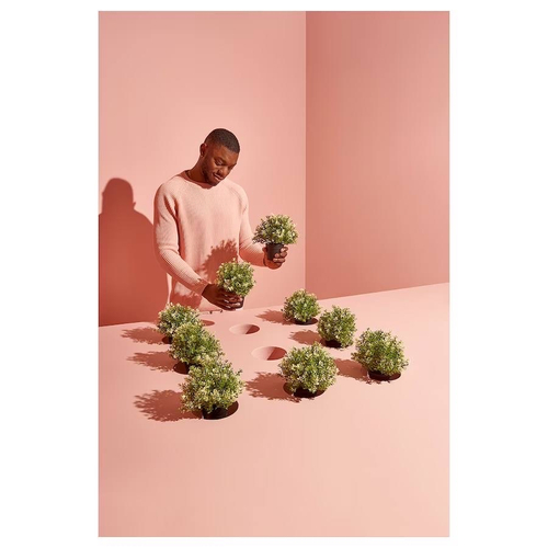 ФЕЙКА FEJKA Искусственное растение в горшке, тимьян, 9 см