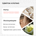 Цветок хлопка