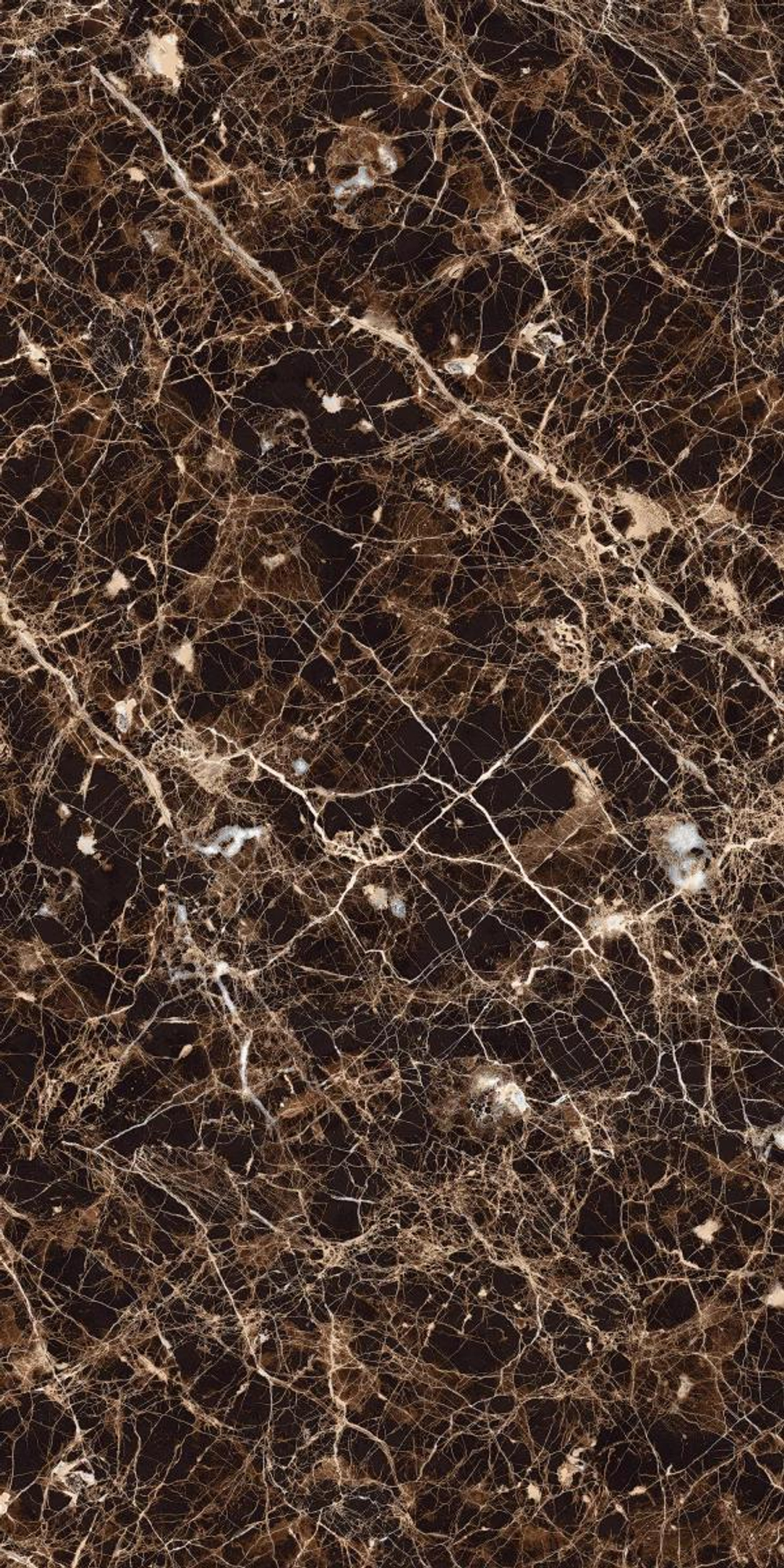 Керамогранит, MAIMOON, Emperador Grand Brown, 1200x600 мм, двойная полировка