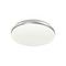 Настенно-потолочный светодиодный светильник Sonex Ringo 7625/AL