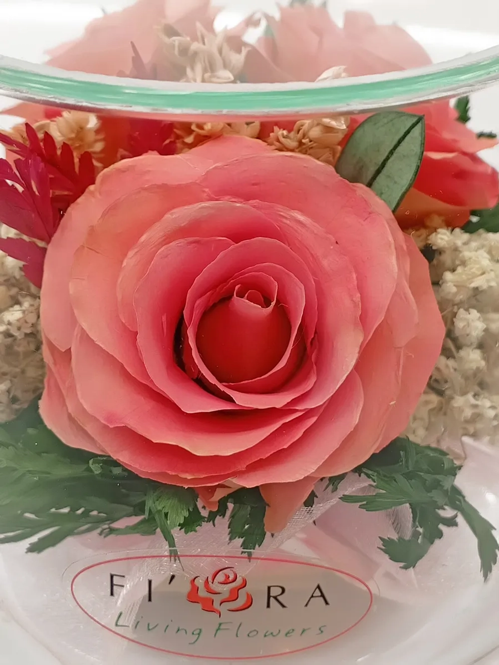 натуральные розы в стекле, вакуум