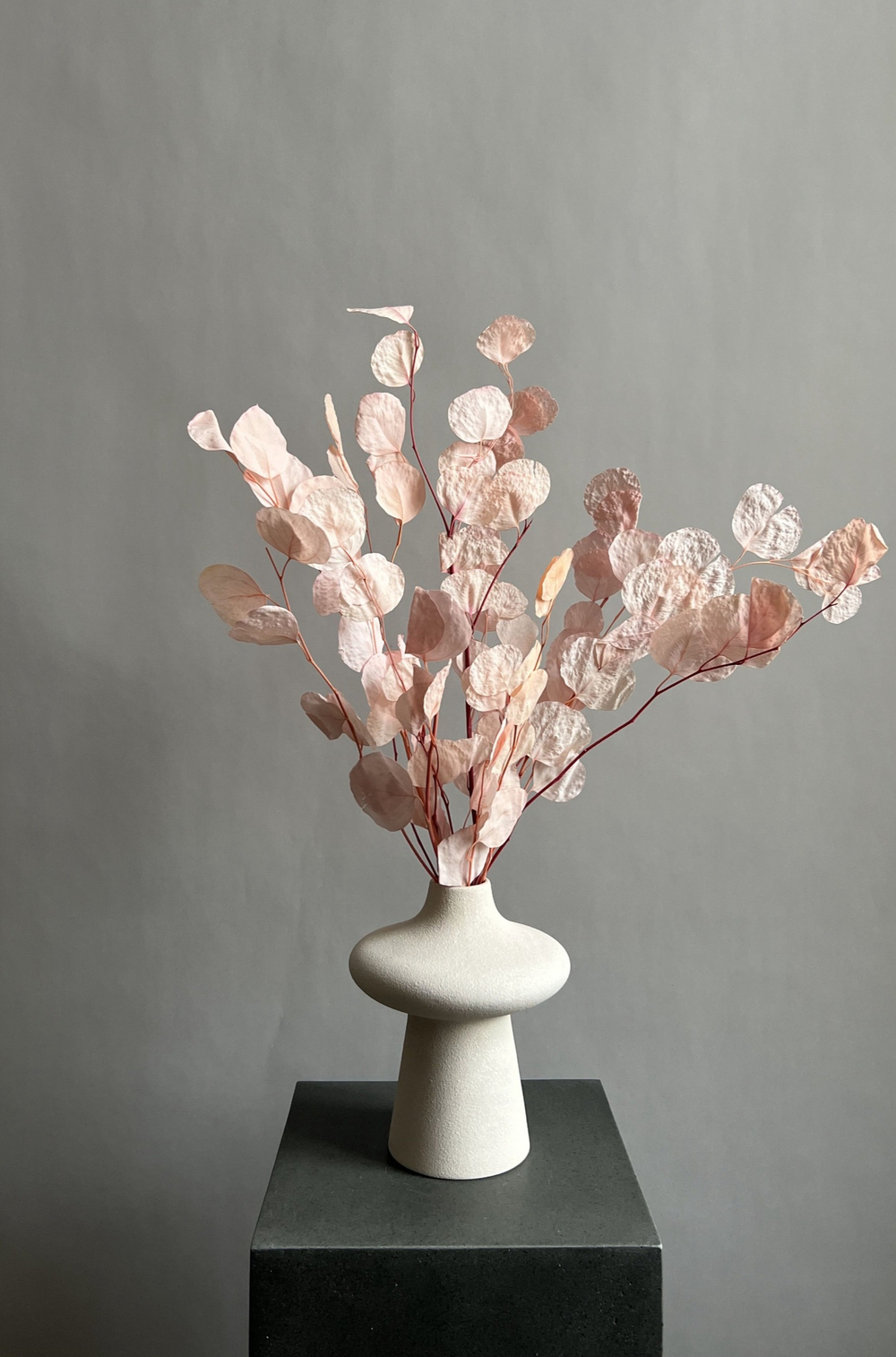 Эвкалипт Популус стабилизированный розовый