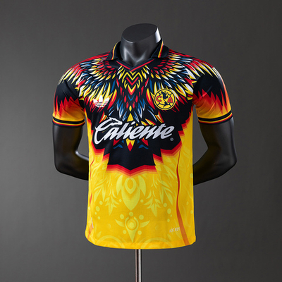 Специальная форма «Америка» 25/26