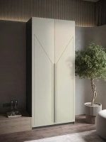 Шкаф распашной 100х50х220 двухдверный Mirage 4