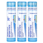 Boiron, Gelsemium, средство для снятия нервного стресса, гранулы Meltaway, 30C, 3 тюбика, прибл. 80 гранул каждая